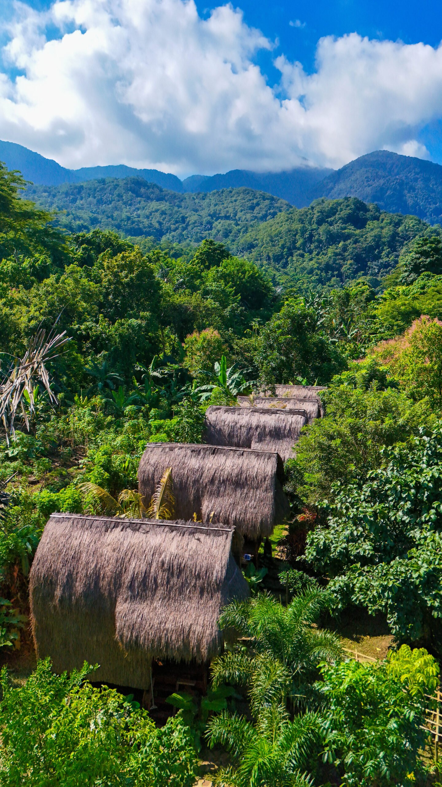 Sten Lodge cottages set into the jungle below the mountains